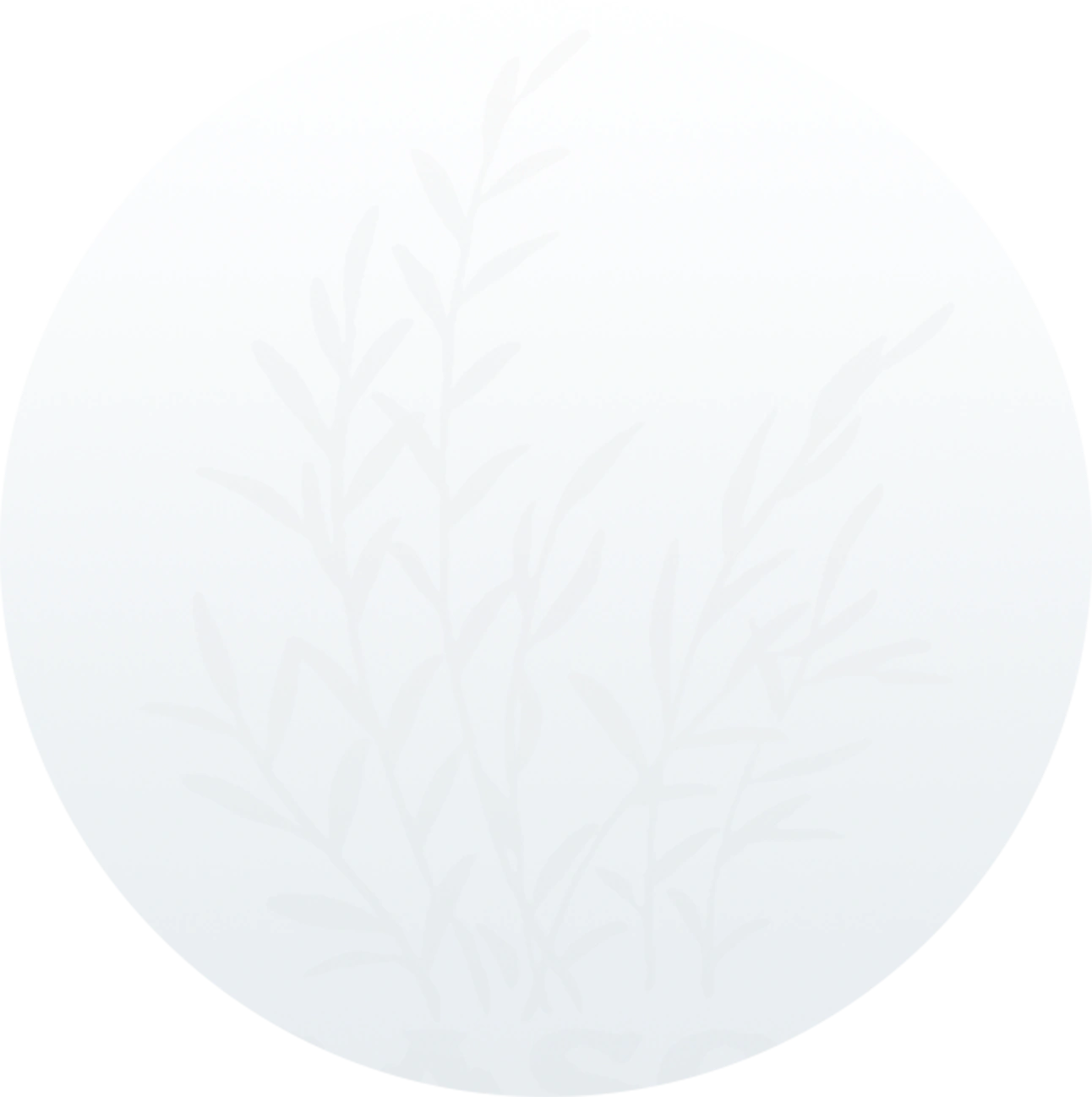 BASON Category Background