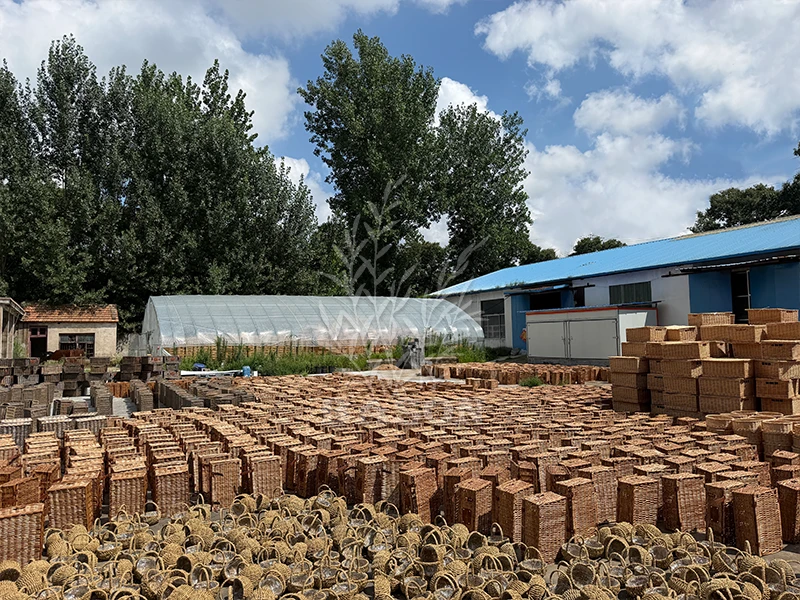 Our Factory