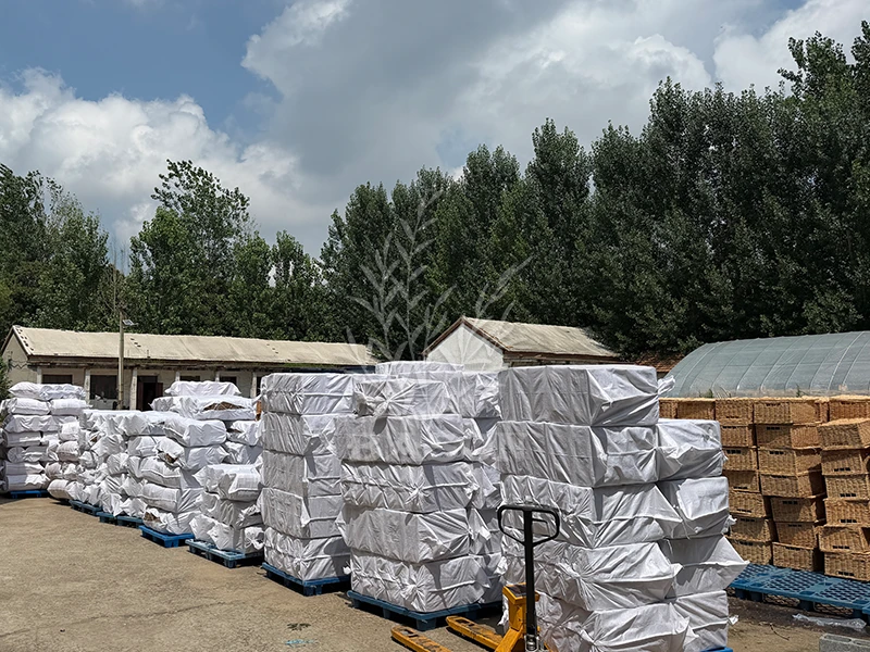 Our Factory